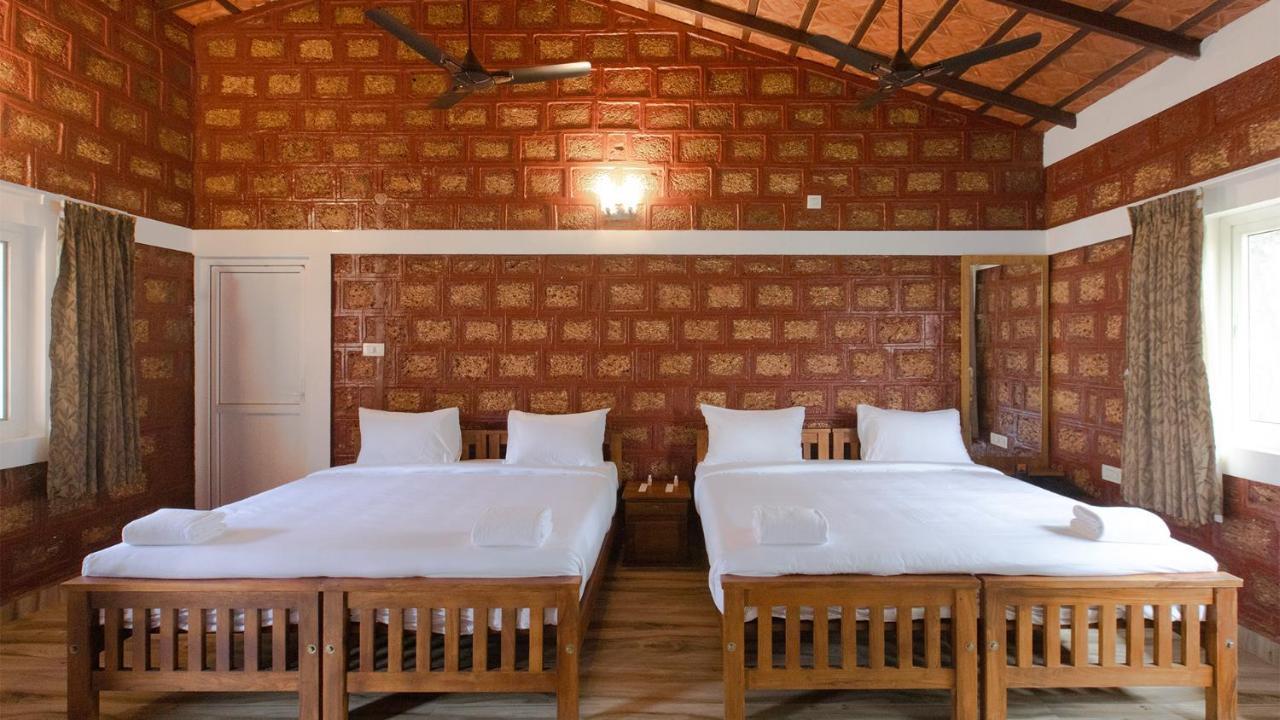 Aara Jungle Resort 哥印拜陀 外观 照片