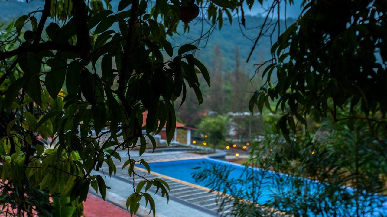 Aara Jungle Resort 哥印拜陀 外观 照片